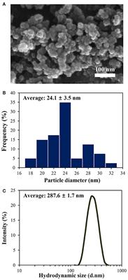 Interactions between Food Additive Silica Nanoparticles and Food Matrices